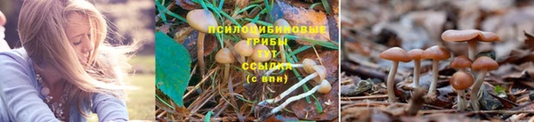 ECSTASY Козельск