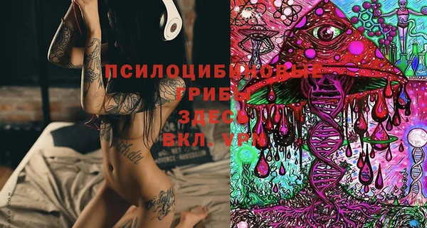 MDMA Козловка