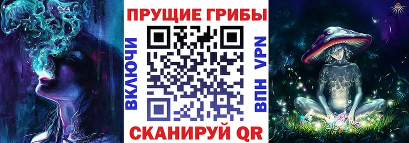 Галлюциногенные грибы Psilocybine cubensis  Купить где  Ефремов 
